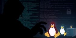 Stealthy New Malware Targets Linux Servers: The Rise of Perfctl